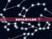 蛇的对头是什么动物，蛇的天敌是什么动物