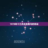 1978年十二月出生属马的命运，属马的十二月初一生日七八年的马今天出门