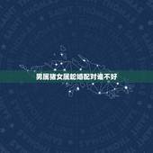 男属猪女属蛇婚配对谁不好，男属猪，女属蛇.婚配.