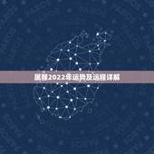 属猴2022年运势及运程详解，80年属猴男的在2023年运势？