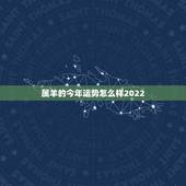 属羊的今年运势怎么样2022，2022 年属羊一生的贵人