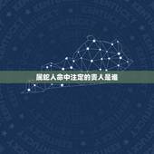 属蛇人命中注定的贵人是谁，属蛇的人命运