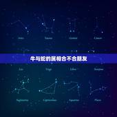 牛与蛇的属相合不合朋友，属相猴与龙的兄弟合得来吗