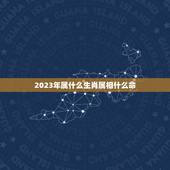 2023年属什么生肖属相什么命，2023年适合生子的属相