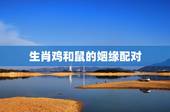 生肖鸡和鼠的姻缘配对，老鼠和鸡属相配吗婚姻合不合