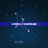 84年鼠2021年运势及运程，1984年鼠人2021全年运势如何