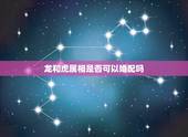 龙和虎属相是否可以婚配吗，龙和虎能婚配吗