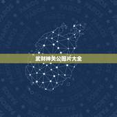 武财神关公图片大全，日常如何供奉武财神关公