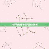 鸡羊兔蛇休争偶是什么属相，属鸡的人和什么属相的人结婚比较好