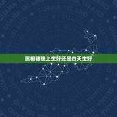 属相猪晚上生好还是白天生好，属猪生在几月好