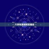 八字年支和时支相合，八字中 月支和时支可以六合吗？还是一定要相邻地支才