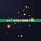 属虎的人和属虎的人相结合好不好，属虎的人和什么属相冲