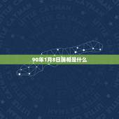90年1月8日属相是什么，我出生是1990年1月8号 正确的属相应该属
