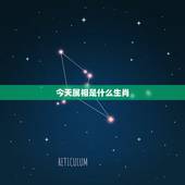 今天属相是什么生肖，今天十二生肖开什么生肖哪个号码