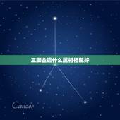 三脚金蟾什么属相相配好，三脚蟾蜍怎么摆放？