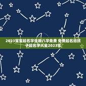 2023宝宝起名字生辰八字免费 免费起名给孩子起名字大全2023年