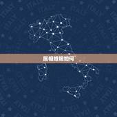 属相婚姻如何，属相婚配是怎么回事？