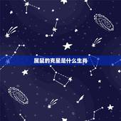 属鼠的克星是什么生肖，72年属鼠48岁有一灾2022