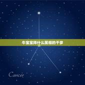 牛宝宝拜什么属相的干爹，属牛的认什么属相的干爹