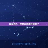 属鼠的人一生的运势都在这里了，84年属鼠人9月12生人一生的命运