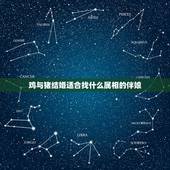 鸡与猪结婚适合找什么属相的伴娘，男女双方属鸡的结婚用什么属相的伴娘？