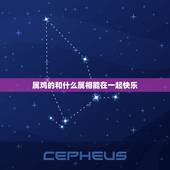 属鸡的和什么属相能在一起快乐，属鸡的和属什么的在一起好