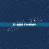 属牛的找属牛的对象好吗，属牛男找对象的方向