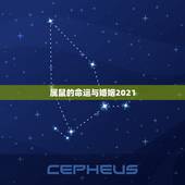 属鼠的命运与婚姻2021，1984年属鼠三月十四出生2023年运势？