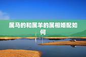 属马的和属羊的属相婚配如何，属马与属羊的相配吗？