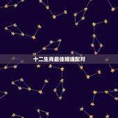 十二生肖最佳姻缘配对，十二生肖姻缘配对