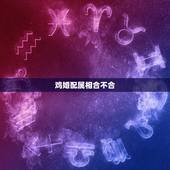 鸡婚配属相合不合，鸡和猪属相合不合