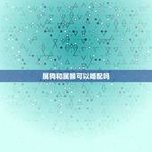 属狗和属猴可以婚配吗，属狗和属猴的可以配对吗？