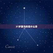 31岁属马的是什么命，31岁属马是什么星座？