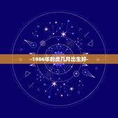 1986年的虎几月出生好，86年属虎女一生命运
