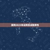 属狗2023年运势及运程男性，属兔2022 年运势及运程