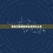 是自己属相的年应该叫什么年，2016年是什么生肖年