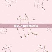 属鼠人11月份财运如何，属鼠人11月份感情如何