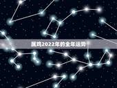 属鸡2022年的全年运势，2022年属鸡的魔羯座运势