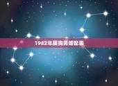 1982年属狗男婚配表，82年狗最倒霉一年