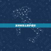 发财树怎么养护最好，请问：发财树怎么养护