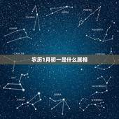 农历1月初一是什么属相，农历是09年腊月初一出生的，阳历是1月15号是