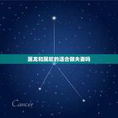 属龙和属蛇的适合做夫妻吗，属龙和属蛇的生什么宝宝好