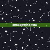 属牛和属蛇的合不合财运，属牛2022 年运势及运程