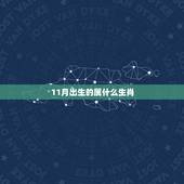 11月出生的属什么生肖，17点出生是属什么生肖