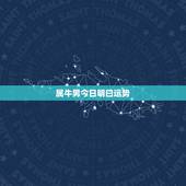 属牛男今日明曰运势，73年属牛男2021年运势及运程每月运程