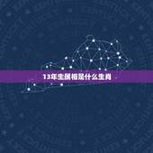 13年生属相是什么生肖，2013年蛇的五行属相是什么？