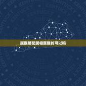 属猴婚配属相属猴的可以吗，属猴的婚配属相哪个好