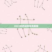 2022年的运势生肖属相，2022 年运势更好的4生肖