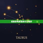 如果养龟家庭养什么龟好，家庭适合养什么龟最好