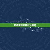 龙遇猪是大败什么意思，猪遇龙能化龙是什麼意思